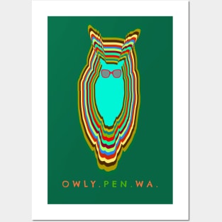 Owl's Eye Washington Posters and Art